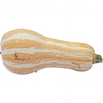 Cushaw Orange Striped